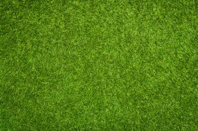 Low-Maintenance Landscaping With Artificial Grass