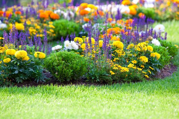 Flower Bed Maintenance in Fishers