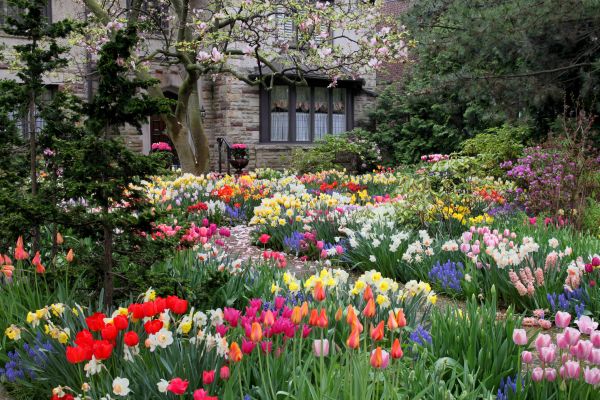 Garden Maintenance Service in Fishers