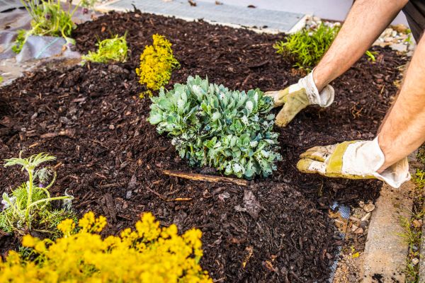 Weeding And Mulching in Fishers