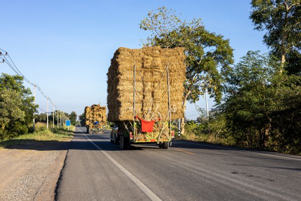 Pine Straw Delivery in Fishers