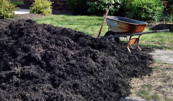 Black Mulch Delivery in Fishers