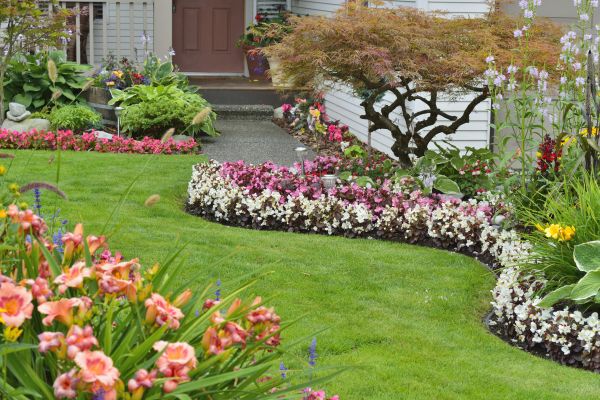 Perennial Landscaping in Fishers