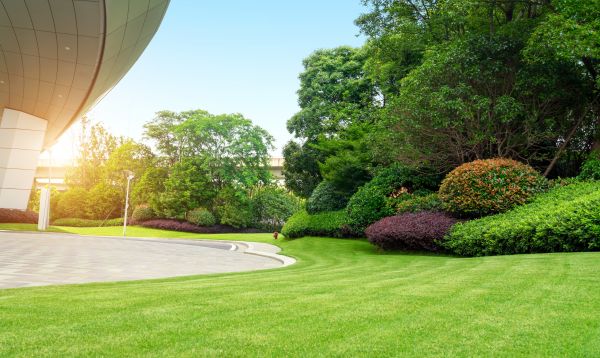 Business Landscape Design in Fishers
