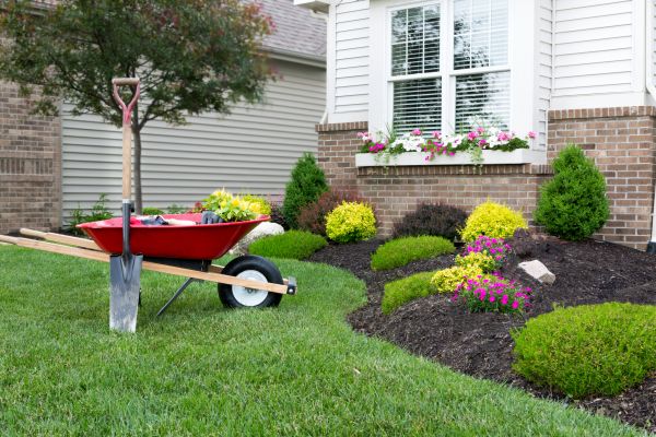 Tree And Shrub Planting in Fishers