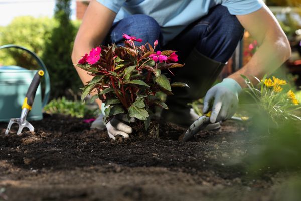 Plant Installation in Fishers