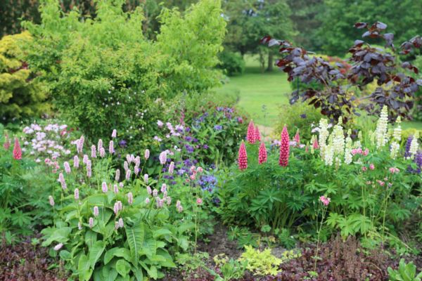 Flower Bed Planting in Fishers