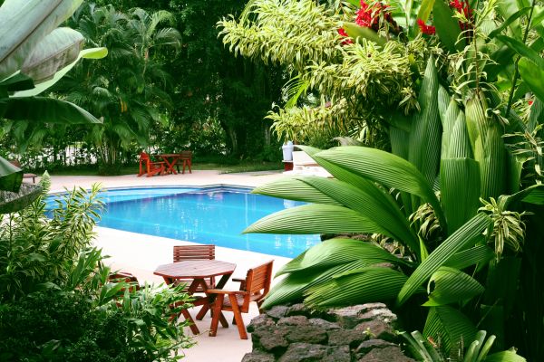 Tropical Garden Landscaping in Fishers