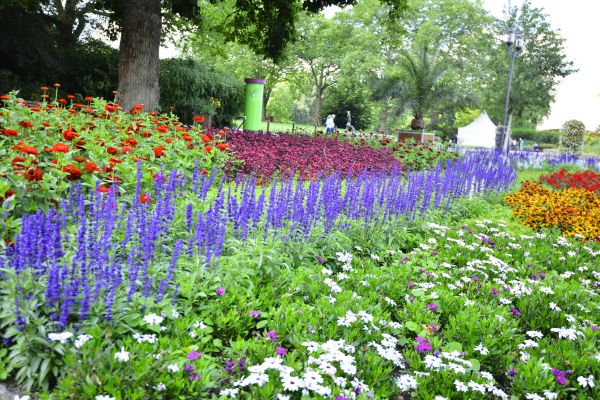 Perennials Planting in Fishers