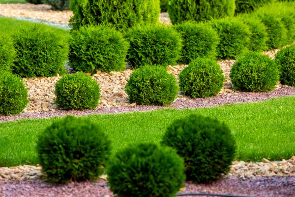Bush Replacement in Fishers