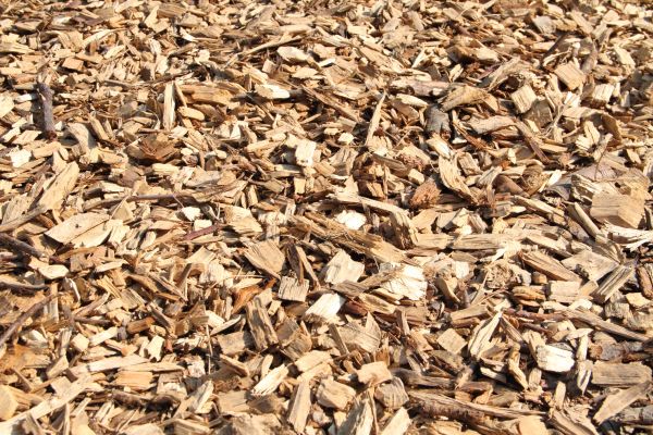 Wood Mulch Delivery in Fishers
