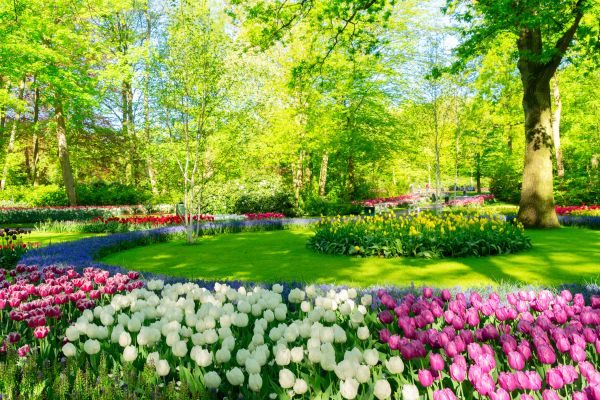 Flower Landscaping in Fishers