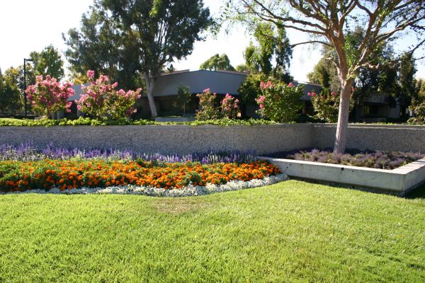 Commercial Landscape Service in Fishers