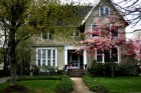 Ornamental Tree Planting in Fishers