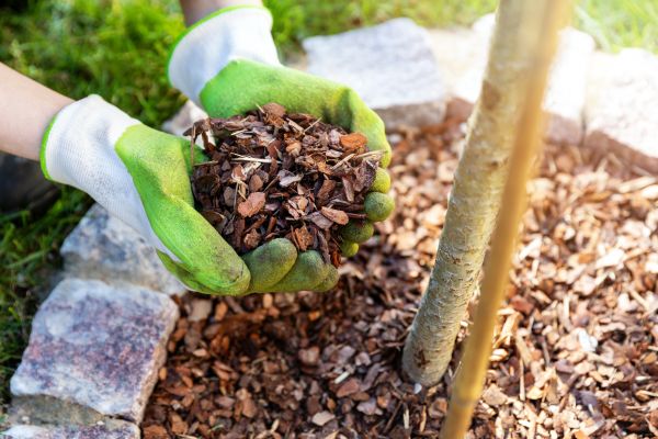 Tree Bark Delivery in Fishers