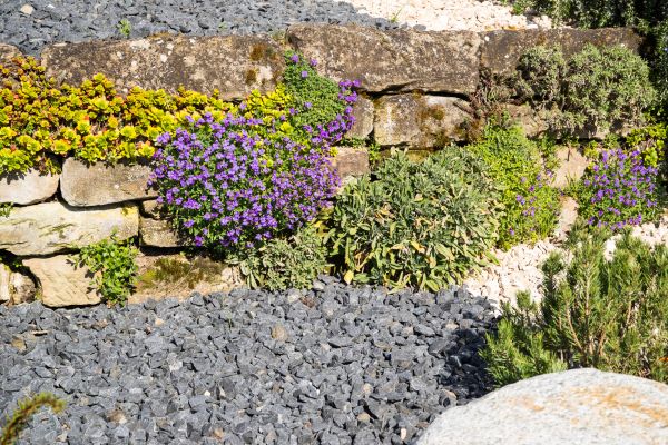Landscaping Rocks Installation in Fishers