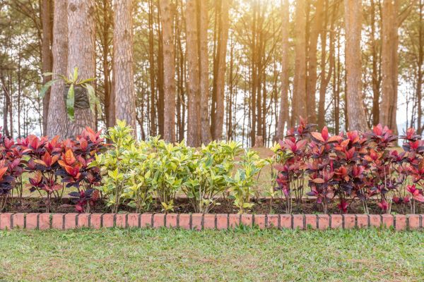 Small Garden Landscaping in Fishers